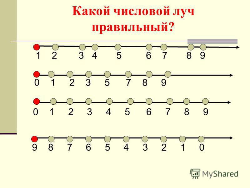 2 3 5 числовой ряд