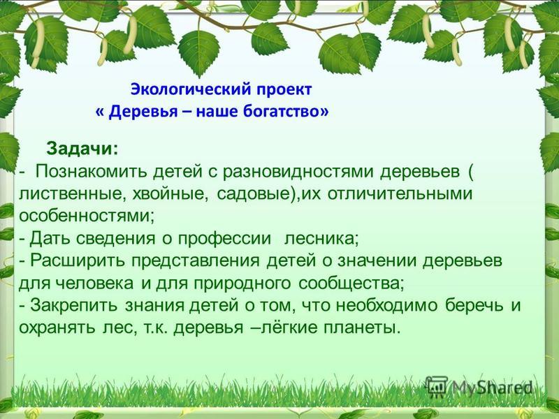 Природный проект. Задачи экологического проекта. Экологический ЙПРОЕКТ. Презентация проекта по экологии. Задачи проекта по экологии.