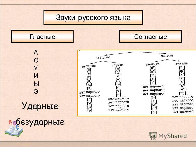 Характеристика согласных звуков. Фонетика классификация звуков. Фонетика классификация гласных и согласных звуков. Классификация согласных звуков 1 класс. Классификация звуков 5 класс.