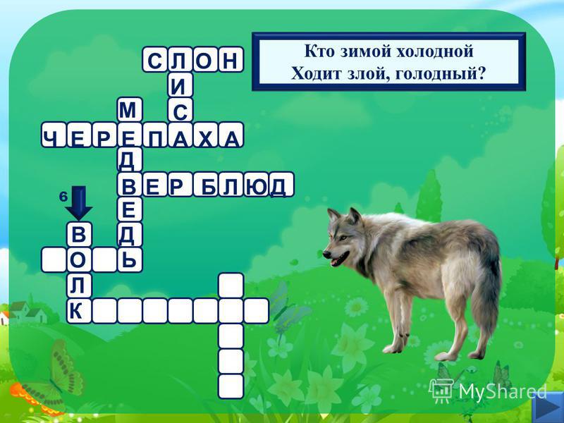 Разгадай кроссворд нарисуй иллюстрацию бурый волк