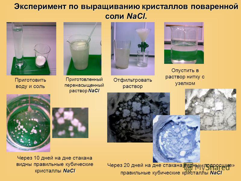 Опыты с соляным раствором. Эксперимент Кристалл из поваренной соли. Опыт с кристаллами. Опыт по выращиванию кристаллов. Опыт с кристаллами соли.