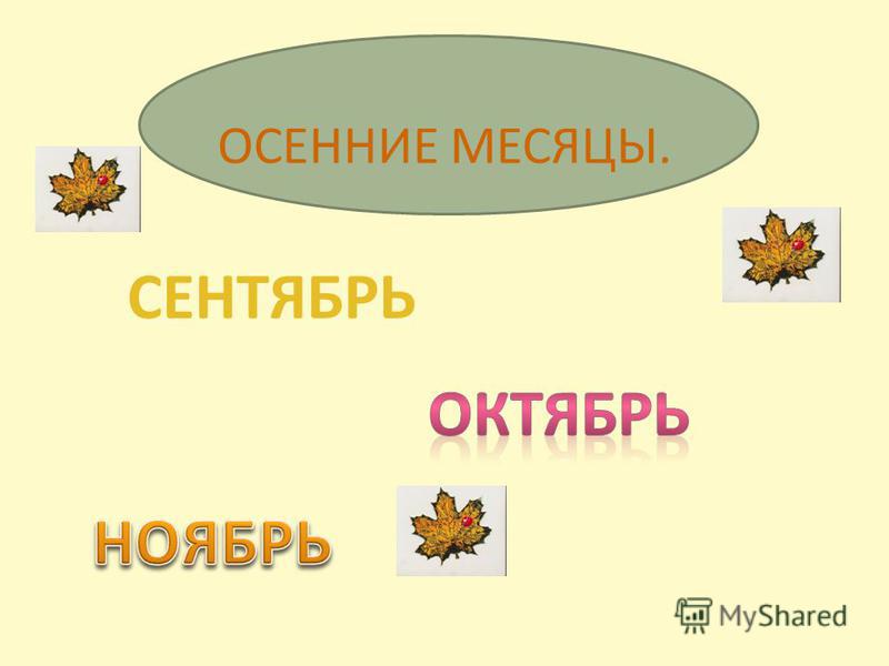 Выбрали место посуше осенние месяцы