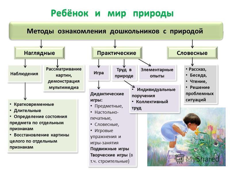 Средства ознакомления детей с природой