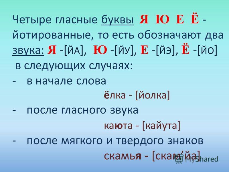 Мелок сколько звуков. Ю обозначает два звука. Буквы е ё ю я обозначают два звука. Буквы обозначающие два звука. Буква е обозначает два звука.