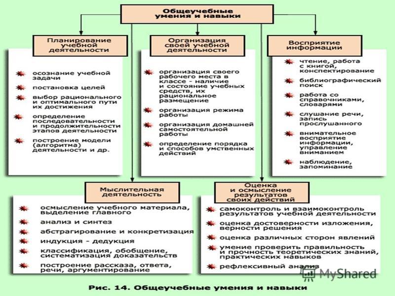 Виды навыков. Сущность умений и навыков. Виды навыков в педагогике. Типы умений в педагогике. Умения и навыки в педагогике.