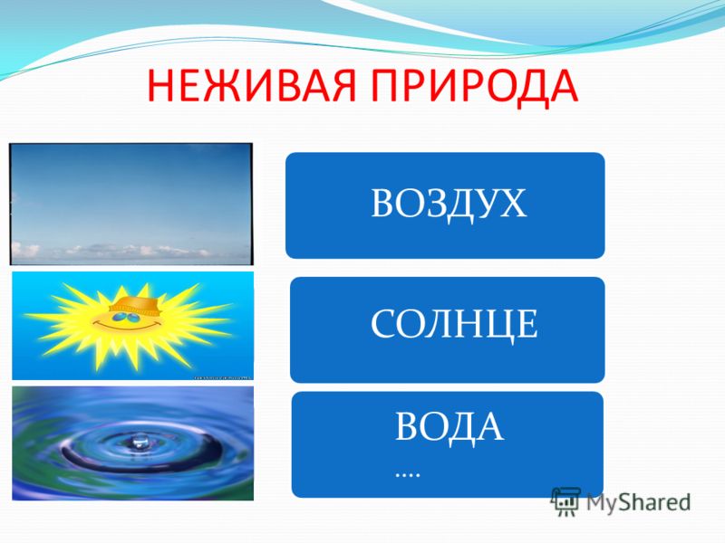 2 неживая природа это. Воздух и вода неживая природа. Тема неживая природа. Неживая природа для детей. Объекты неживой природы воздух.