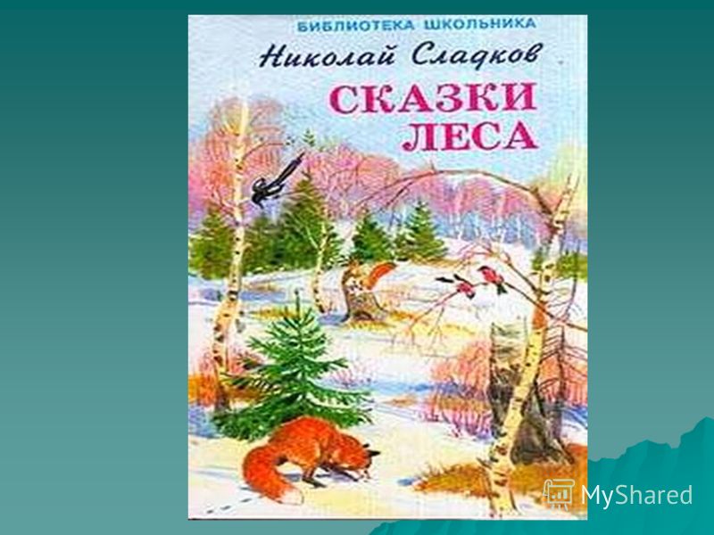 Сладков лесные сказки картинки