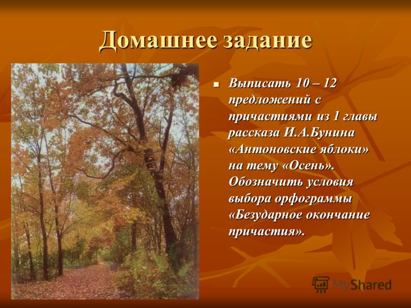 Утро в осеннем лесу рассказ. Пять предложений на тему осень. 10 Предложений на тему осень. Сочинение на тему осень 10 предложений. Предложения на тему осенний день.