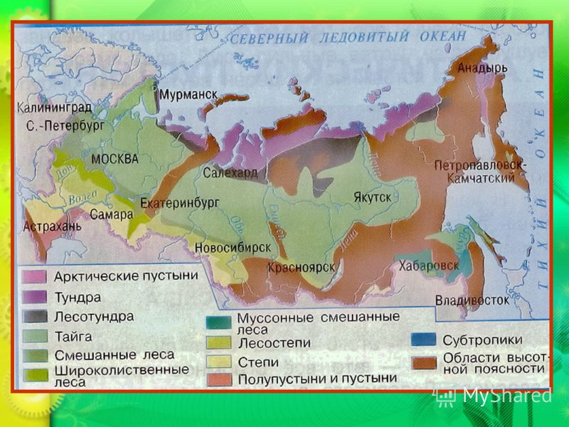 Увлажнение природных зон. Карта природных зон России субтропики. Муссонные смешанные леса России на карте. Карта природных зон России 4 класс субтропики. Природная зона города Москва.