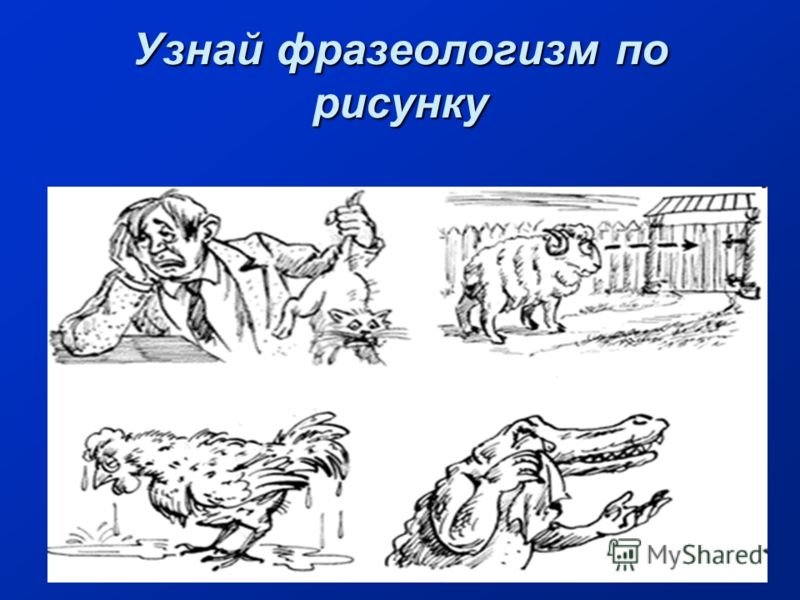 Рисунок на тему фразеологизмы