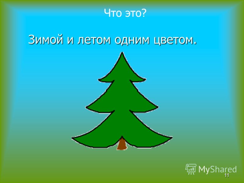 Как пишется елка. Зимой и летом одним цветом загадка. Зимой илет ом одним светом. И зимой и летом одним цветом рисунок. Загонка зимой и летом одним цветом.