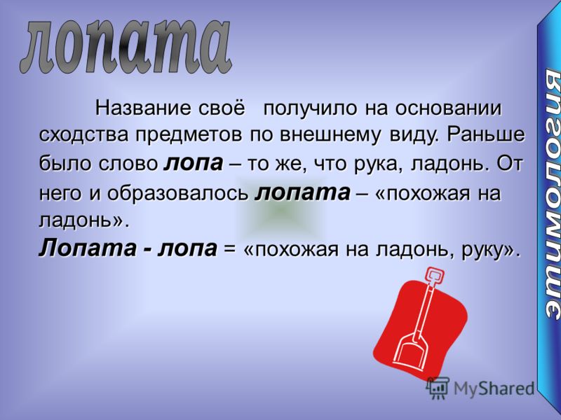 Лопатка проверочное слово. Лопата от слова лопа. Лопата это похоже на ладошку. Лопата как образовано слово. Вывод на основании сходства предмета 8.