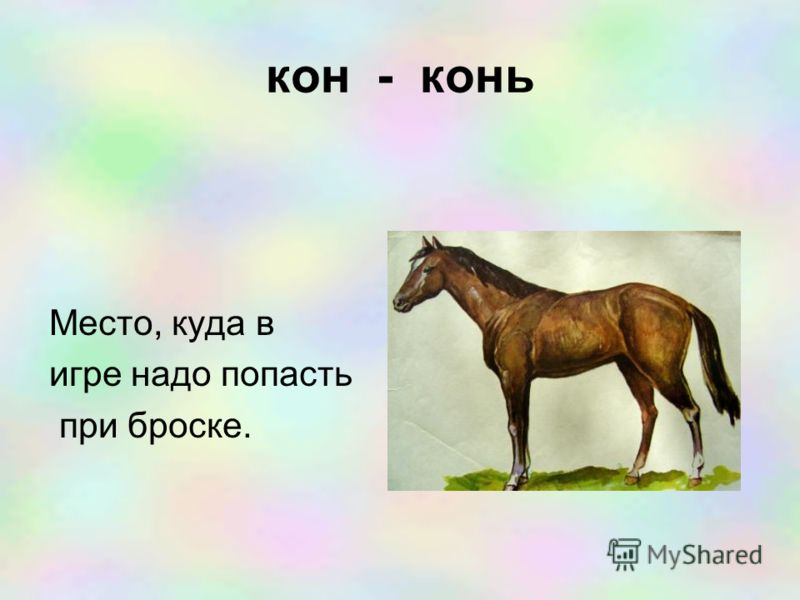 Конь слова. Кон. Он. Кон что это значит. Что означает слово кон.