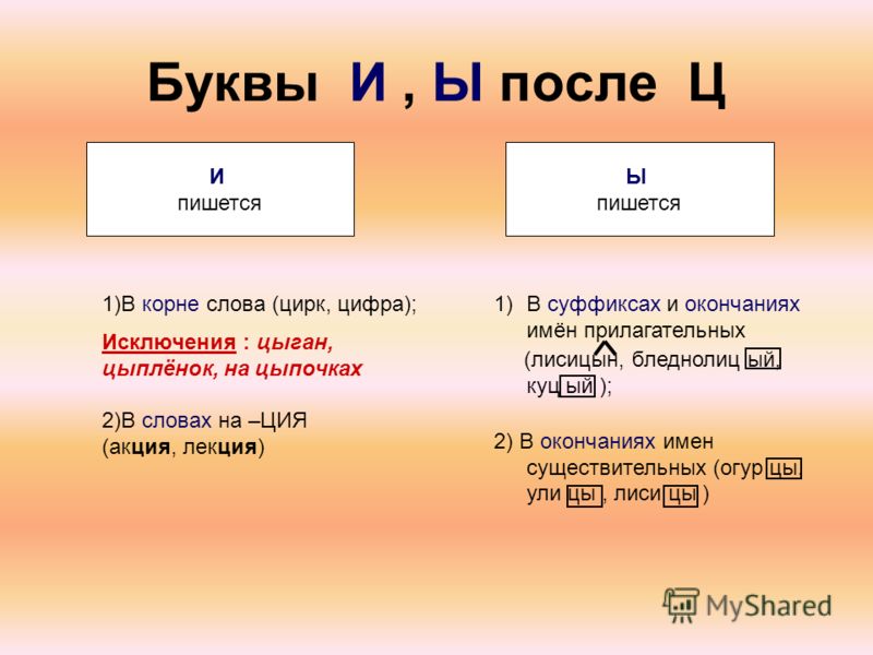 Буквы пишутся где. Правописание и ы после ц в суффиксах. Правописание букв и ы в корне после ц. В суффиксе прилагательных после ц пишется ы. Буква ы после ц в суффиксах.