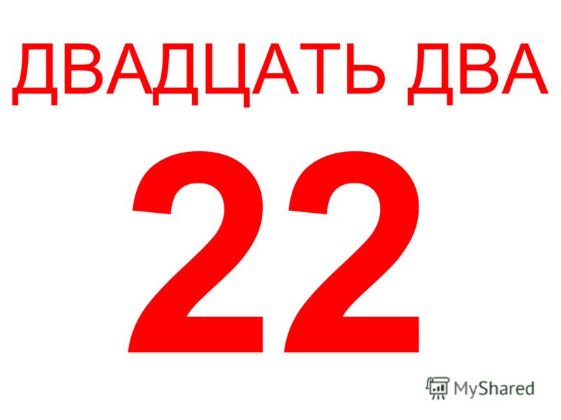 23 года год рождения