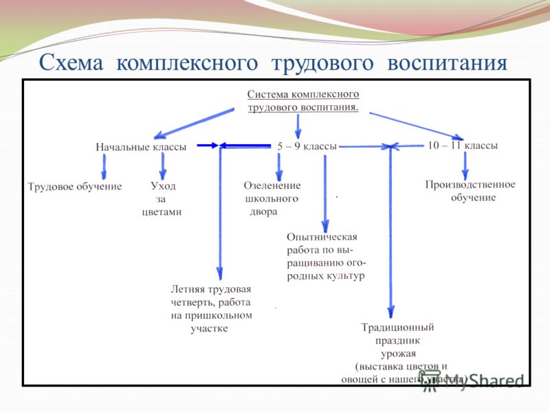 Схема трудового воспитания