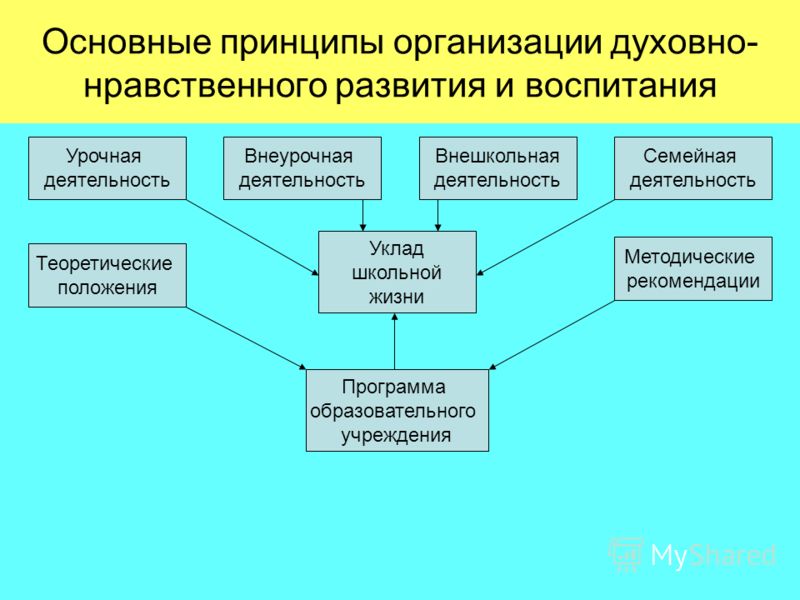 Нравственная организация