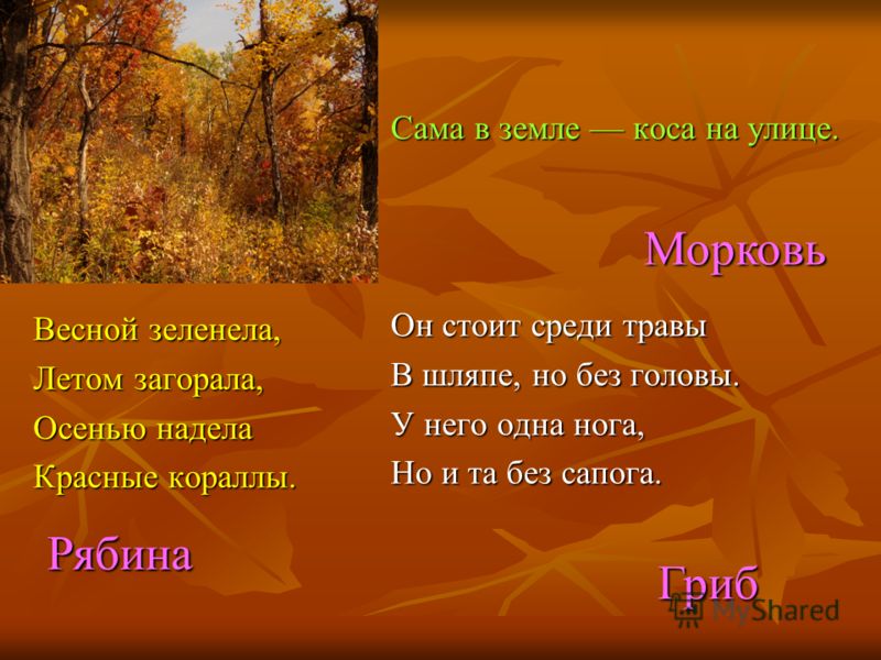 Загадки про 2 класса. Осенние загадки для 2 класса. Загадки про осень. Загадка осенний лес для детей. Загадки про осень 2 класс.