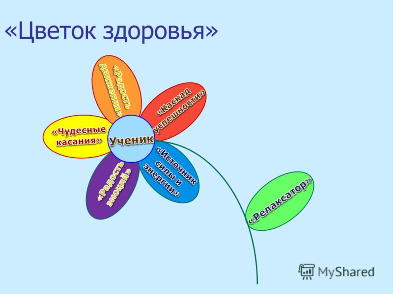 Цветок здоровья. Цветок здоровый образ жизни. Цветок здоровья для детей. Цветок здоровья лепестки.