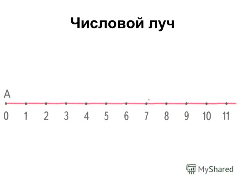 Числовой луч