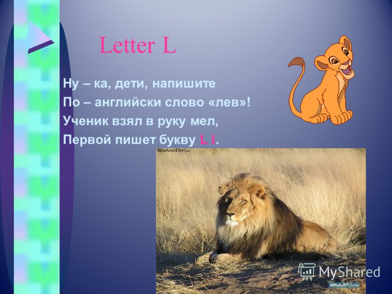 Лев по английски. Стих про Льва на английском. Проект по английскому про Льва. Английское слово Лев. Предложение про Льва.