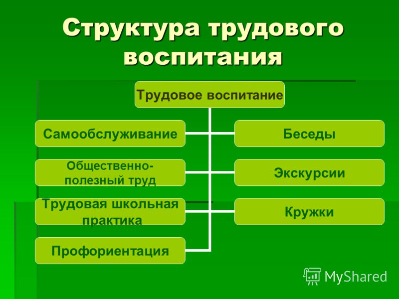 Структура воспитания. Структура трудового. Направления трудового воспитания. Структура трудового воспитания дошкольников.