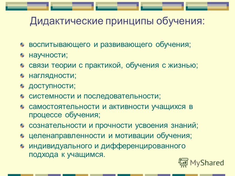 Основные принципы дидактики в обучении. Дидактические принципы обучения. Дидактические принципы развивающего обучения. Принцип развивающего и воспитывающего обучения. Дидактика принципы обучения.