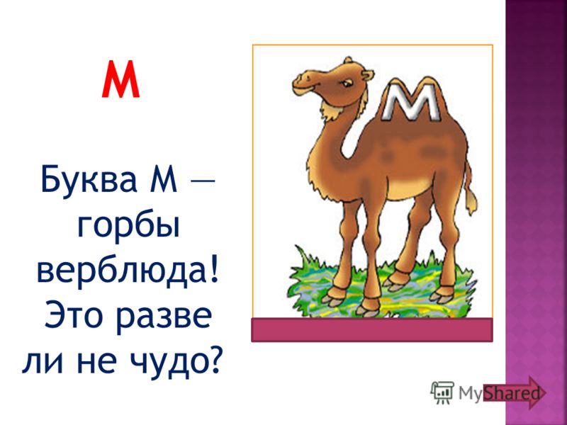 Разве 4 буквы. На что похожа буква м. На что похожа буква м рисунки. На что похожа буква м стихи. Животные на букву м.