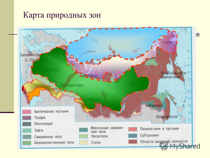 Запишите природные зоны. Окружающий мир 4 класс школа России природные зоны карта-. Карта природных зон России 4 класс окружающий мир школа России. Карта природных зон России 4 класс окружающий мир ВПР. Карта природных зон 4 класс ВПР России окружающий.