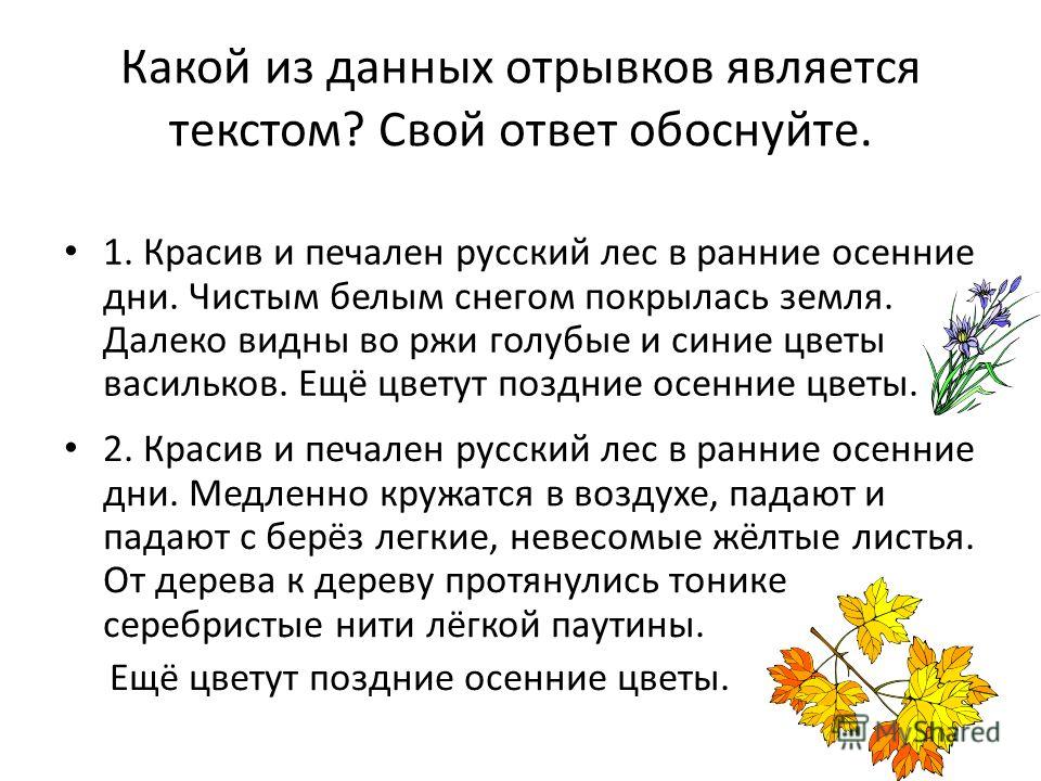 Текст ранним утром в лесу