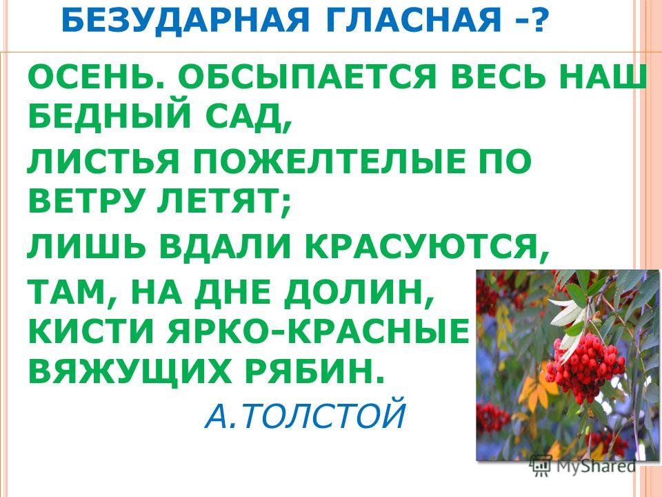 Толстой осень обсыпается весь наш бедный сад