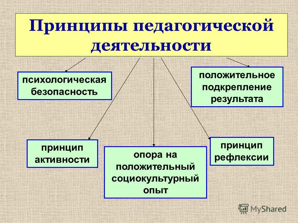 Основные педагогические принципы. Принципы педагогической деятельности.