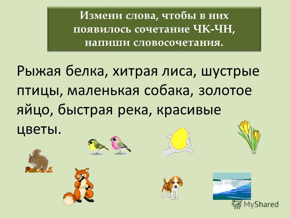 3 напиши словосочетания. Словосочетание ЧК ЧН. Составить словосочетания 2 класс. Словосочетание 1 класс карточки. Составить словосочетания по картинкам.