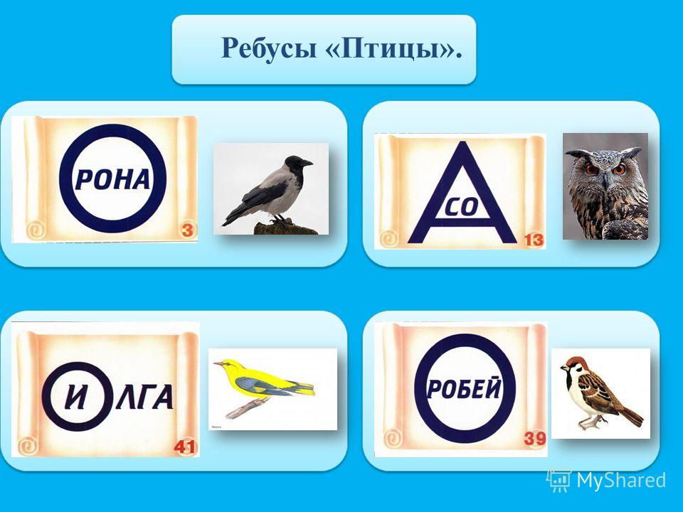 Птичка ответы. Ребусы про птиц. Ребусы про птиц для детей. Ребусы про зимующих птиц. Ребусы с названиями птиц.