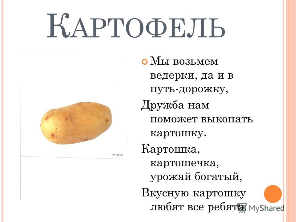 6 картошек. Стих про картошку. Мы возьмем ведерки да и в путь дорожку. Картофель с текстом. Загадка к слову картошка.