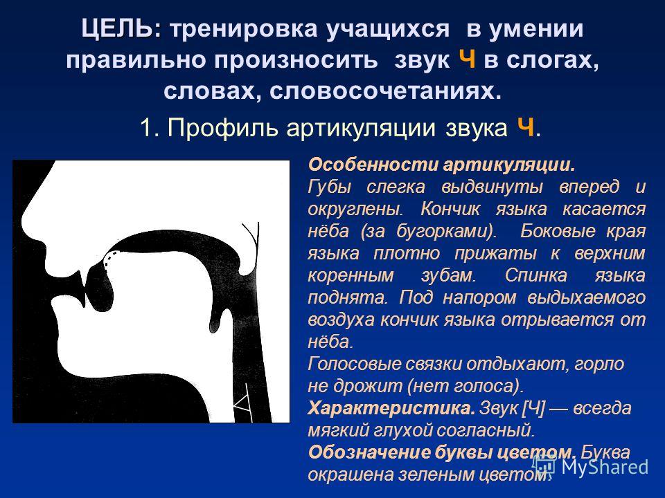 Произношение звуков речи. Правильная артикуляция звука с. Профиль артикуляции. Правильная артикуляция звука ч. Профиль артикуляции звука ч.