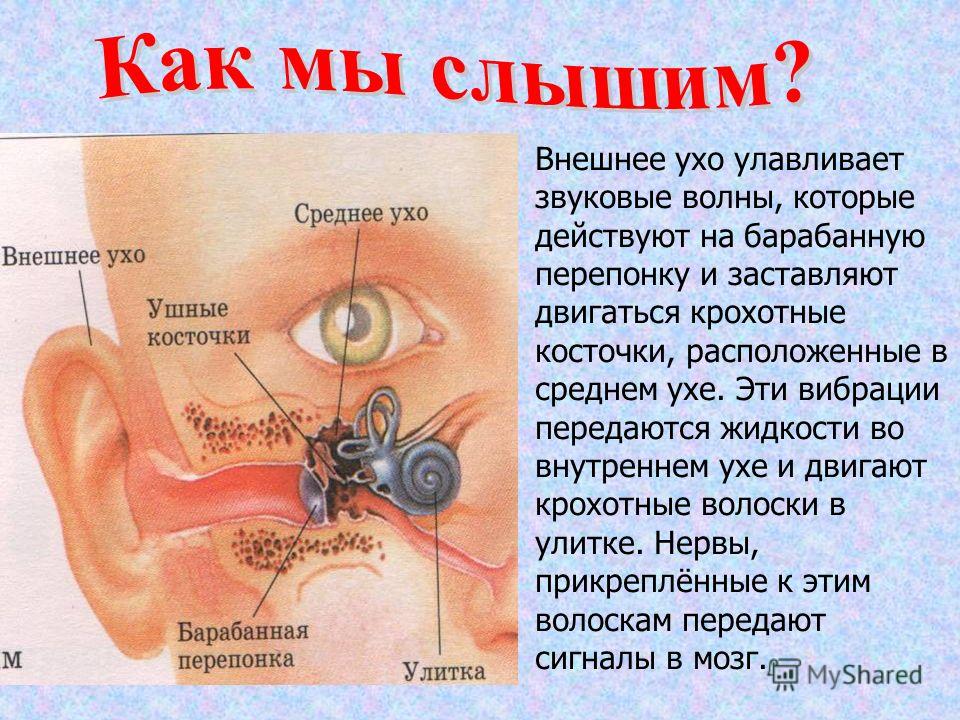 Вся другая информация как звуки так и изображения