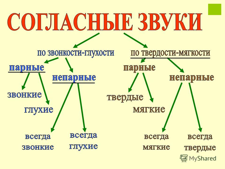 Пар по твердости. Таблица согласных звуков по глухости и звонкости твердости мягкости. Согласные парные и непарные по твёрдости-мягкости звонкие и глухие. Согласные по глухости звонкости твердости мягкости твердости. Парные по твердости-мягкости согласные звуки.