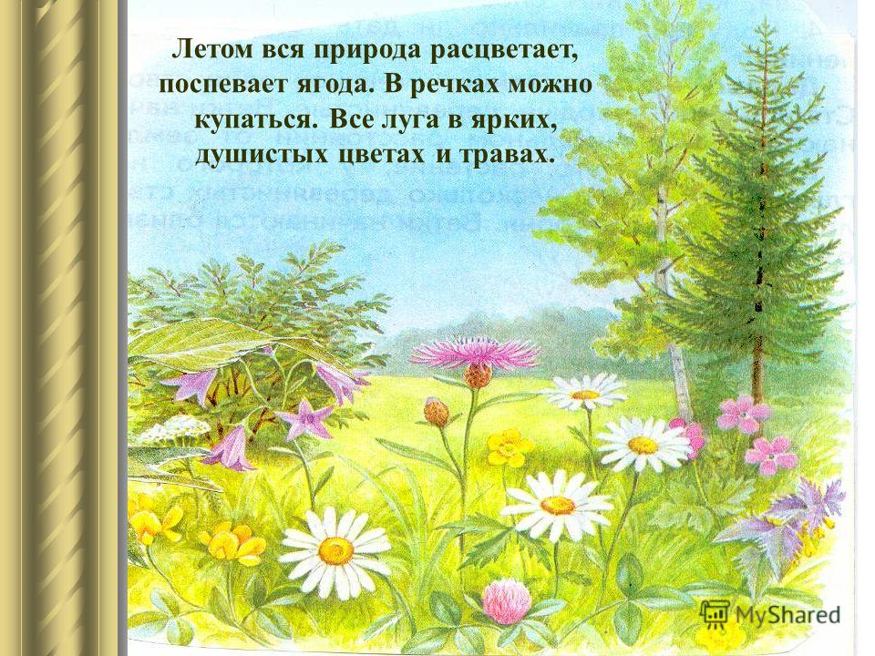 Краткое лето. Рассказ о лете. Рассказ на тему лето. Краткий рассказ о лете. Описание природы лето.