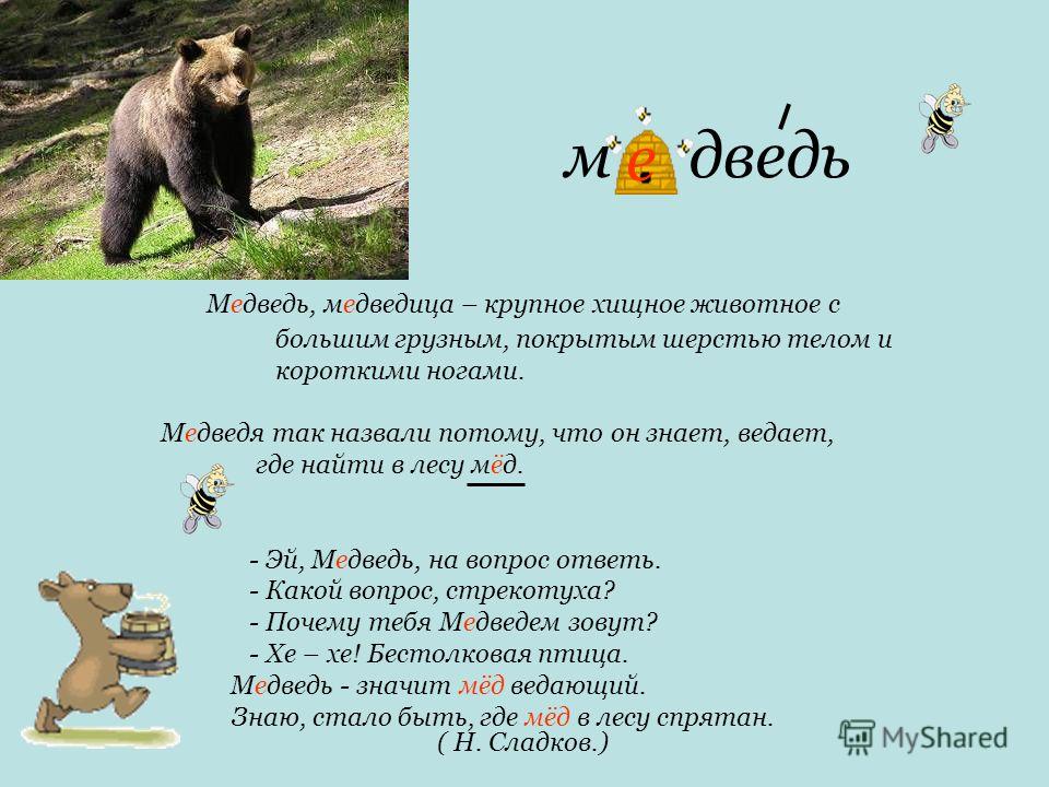 Слово медведь существительное