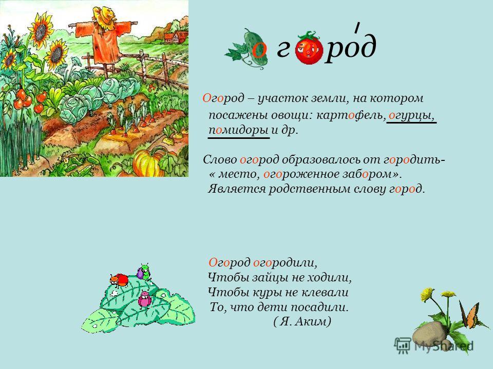 Исторический корень слова. Загадки на тему огород. Слово огород. Загадки про огород. Слова на тему огород.