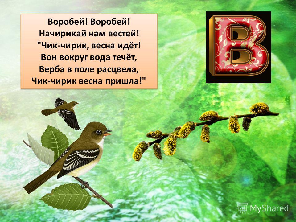 Воробей окончание. Буквы для презентации. Стишок про воробья. Буква в Воробей. Воробей Воробей начирикай нам Вестей.