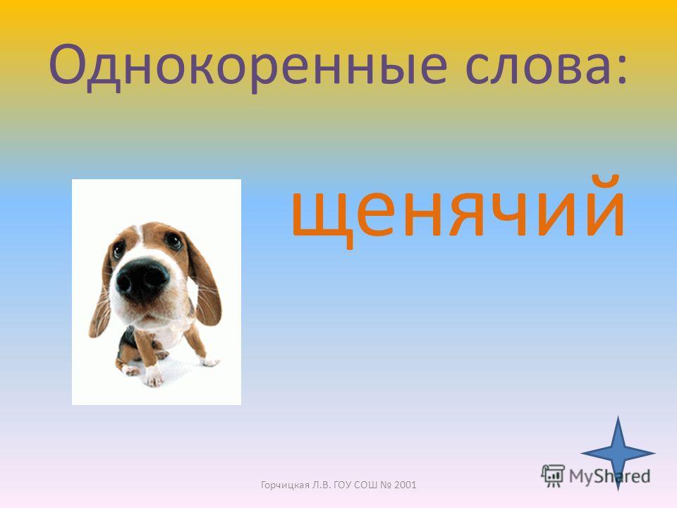 Какое слово собака. Собака однокоренные слова. Однокоренные слова к слову соба. Пес однокоренные слова. Однакареное слова собака.