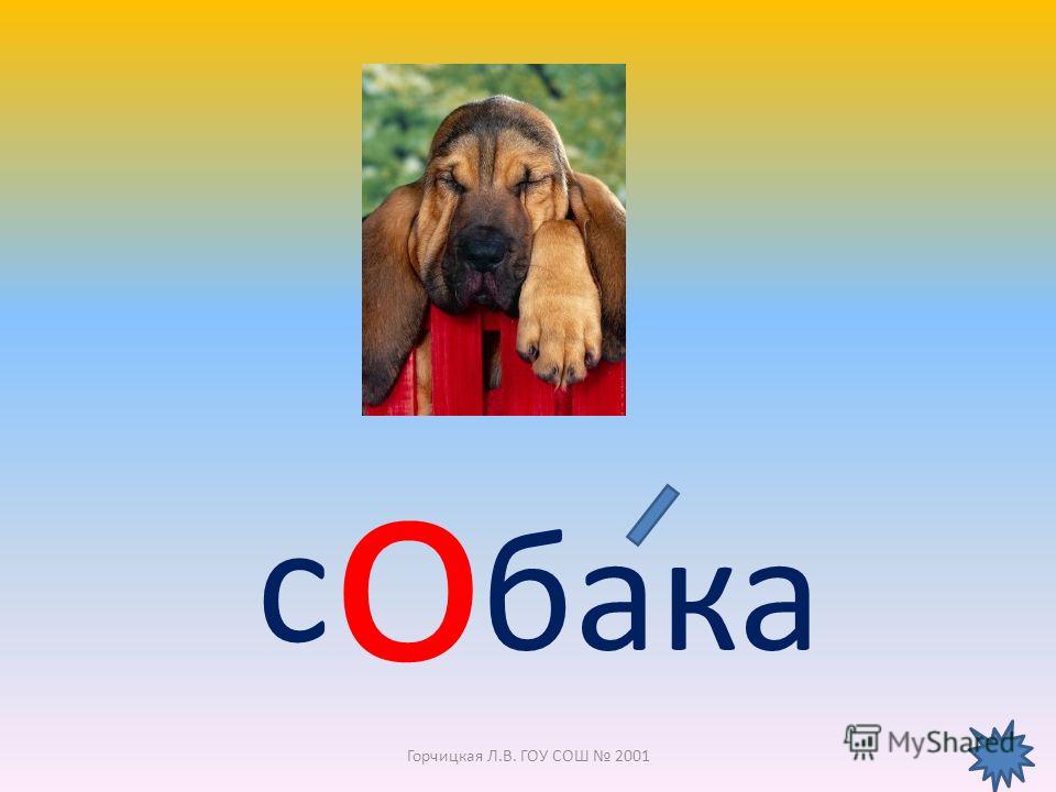 Слоги слова щенка