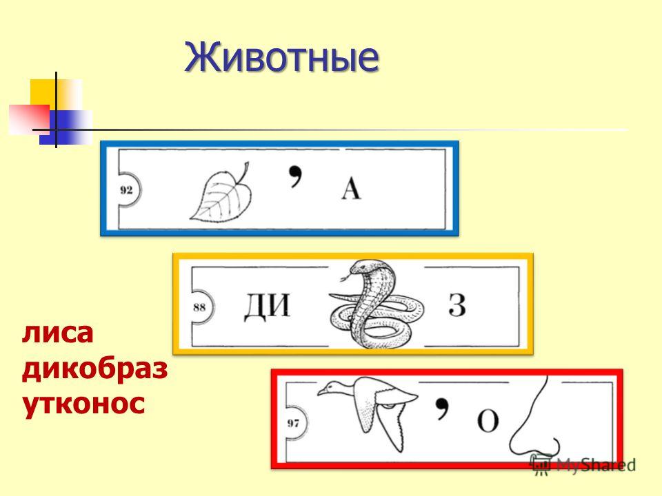 Обозначьте стрелочками. Ребус Утконос. Ребус Дикобраз. Ребус на доске. Использование ребусов на уроке.