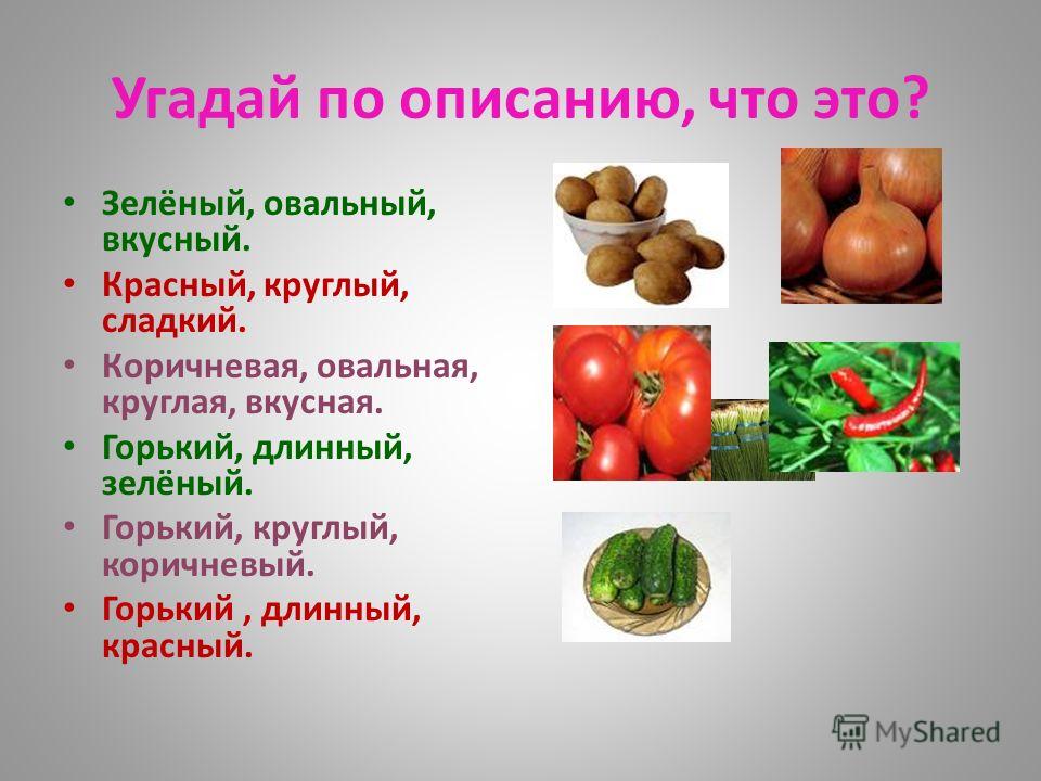 Угадай по описанию. Отгадай предмет по описанию. Игра Угадай по описанию. Игра отгадай предмет по описанию.