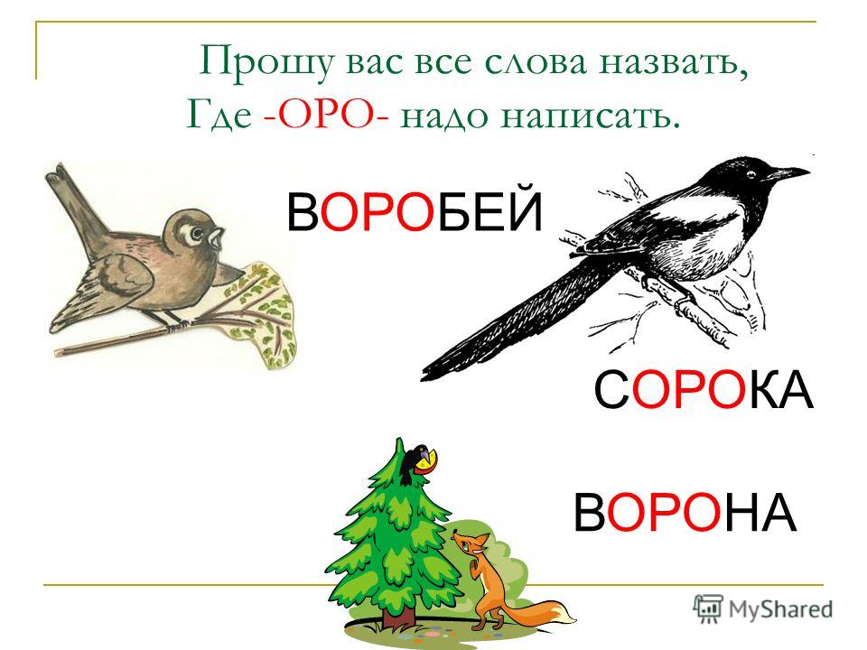 Схема слова воробей