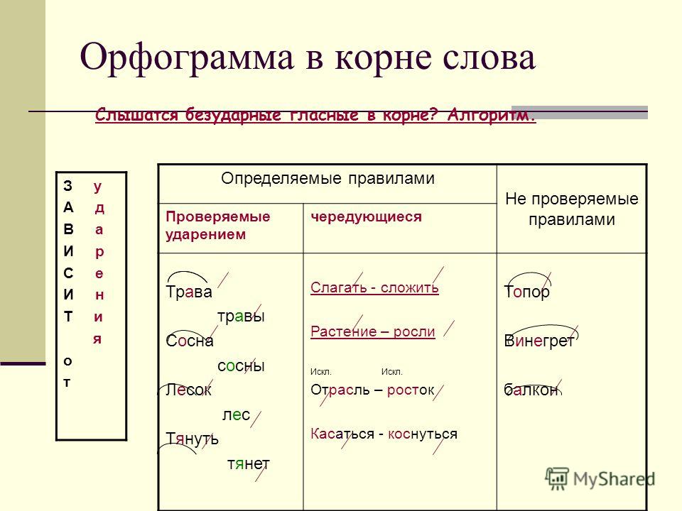 Выделить орфограммы в словах русский язык. Как определить орфограмму в слове. Орфограмма в слове. Выделить орфограммы в словах. Орфограммы в корне слова.