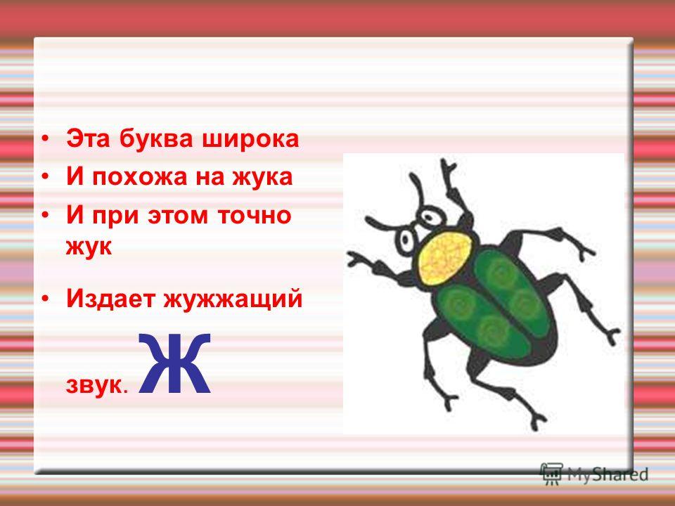 Буква ж согласная. Буква ж похожа на жука. Эта буква широка и похожа на жука. Буква ж эта буква широка и похожа на жука. Эта буква широка и похожа на жука и при этом точно Жук издает жужжащий.