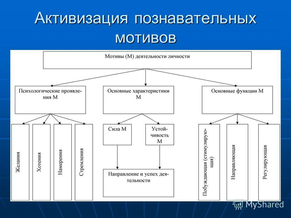 Мотив познавательной деятельности